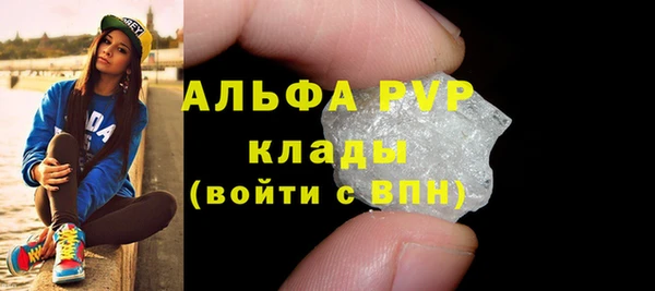 ПСИЛОЦИБИНОВЫЕ ГРИБЫ Корсаков