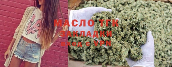 сатива Краснослободск