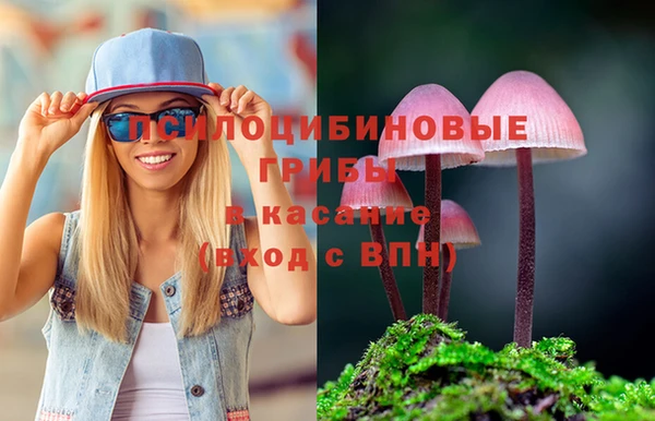 гашик Красноперекопск