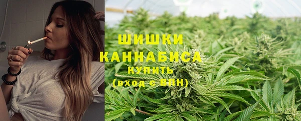 ПСИЛОЦИБИНОВЫЕ ГРИБЫ Корсаков