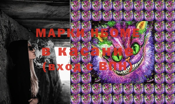 ПСИЛОЦИБИНОВЫЕ ГРИБЫ Корсаков