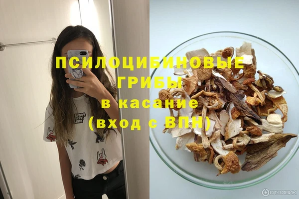 гашик Красноперекопск