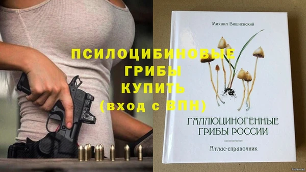 дживик Костерёво