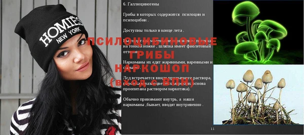 гашик Красноперекопск