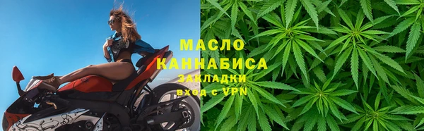 сатива Краснослободск