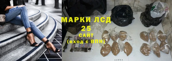 дживик Костерёво