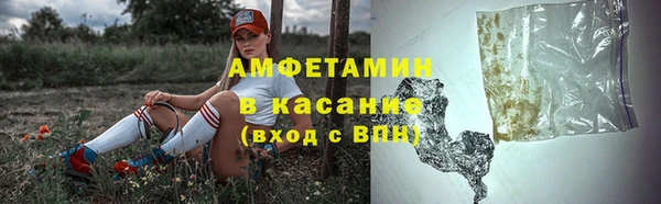 сатива Краснослободск