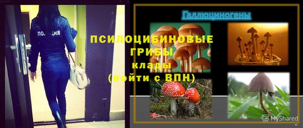 сатива Краснослободск