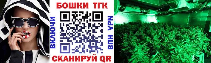 Бошки Шишки гибрид  купить закладку  Красновишерск 